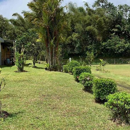 972B-Coin De Verdure Au Pied De La Montagne Pelee Le Morne-Rouge 外观 照片