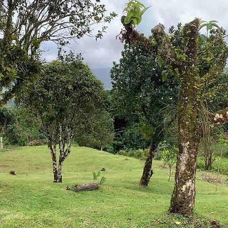 972B-Coin De Verdure Au Pied De La Montagne Pelee Le Morne-Rouge 外观 照片