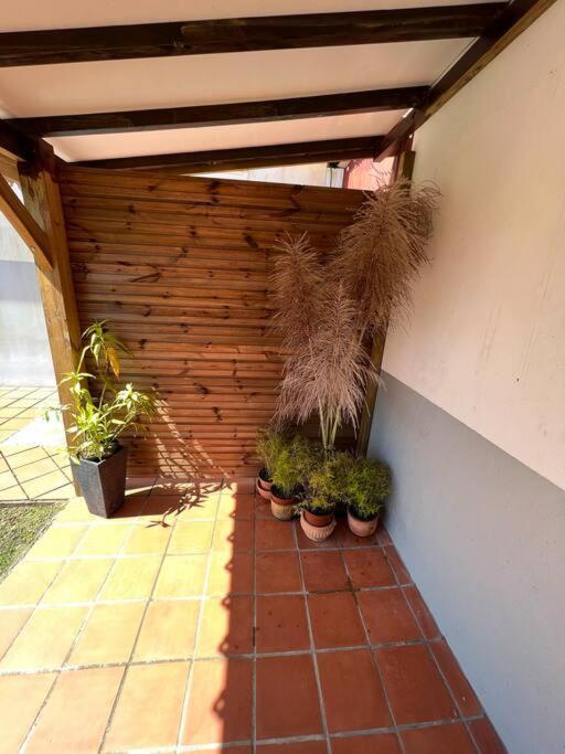 972B-Coin De Verdure Au Pied De La Montagne Pelee Le Morne-Rouge 外观 照片