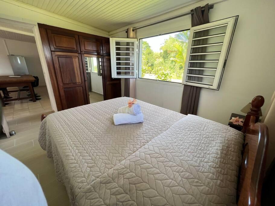 972B-Coin De Verdure Au Pied De La Montagne Pelee Le Morne-Rouge 外观 照片