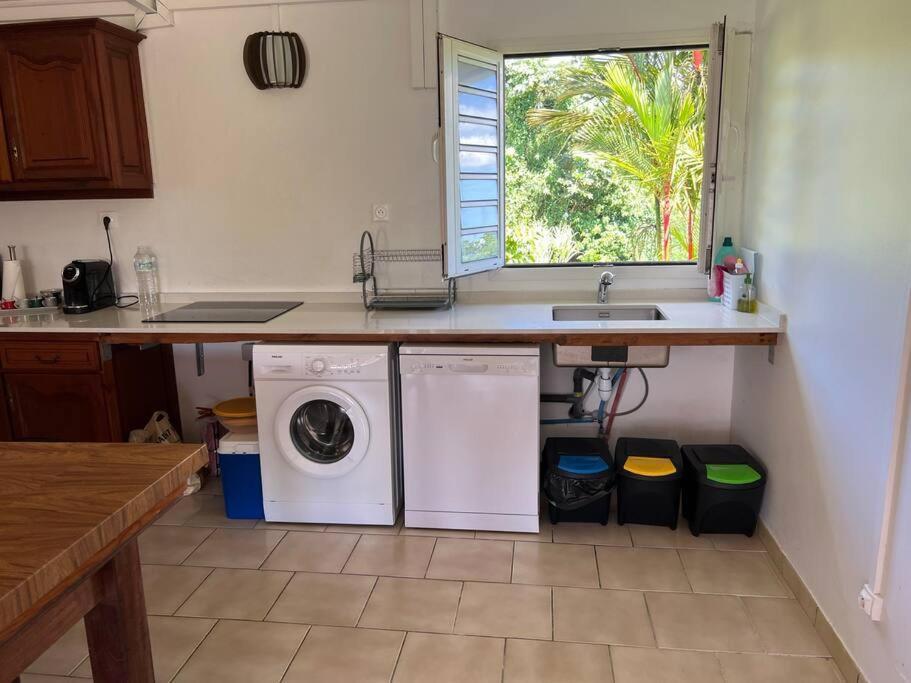 972B-Coin De Verdure Au Pied De La Montagne Pelee Le Morne-Rouge 外观 照片