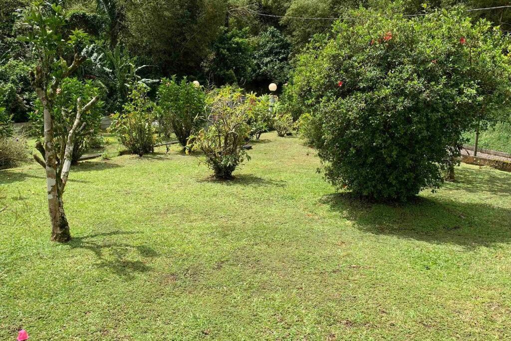 972B-Coin De Verdure Au Pied De La Montagne Pelee Le Morne-Rouge 外观 照片
