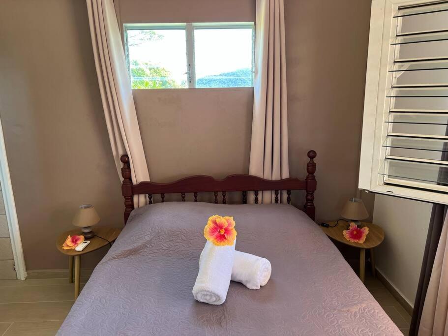 972B-Coin De Verdure Au Pied De La Montagne Pelee Le Morne-Rouge 外观 照片